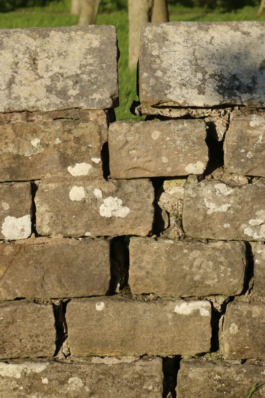 Stone Wall Repair in Oak Ridge, NC